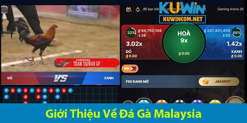 Đá Gà Malaysia: Khám Phá Luật Chơi Và Các Lọai Hình Đá Gà